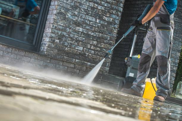 Best House Exterior Washing  in Staunton, IL